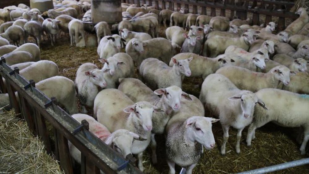 © M.-F. Malterre/GFA