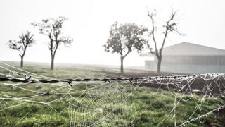 © Claudius Thiriet © Claudius Thiriet