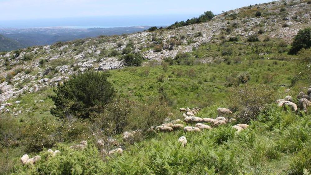 © M.-F. Malterre / GFA