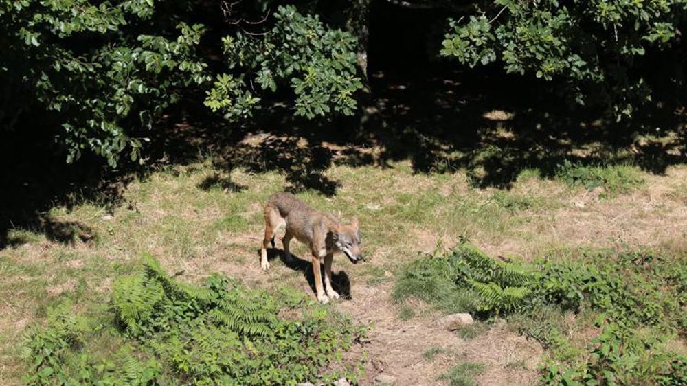 © M.-F. Malterre/GFA