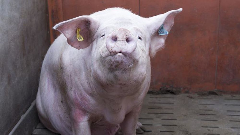 Photo d’illustration. © Y. Cainjo/GFA