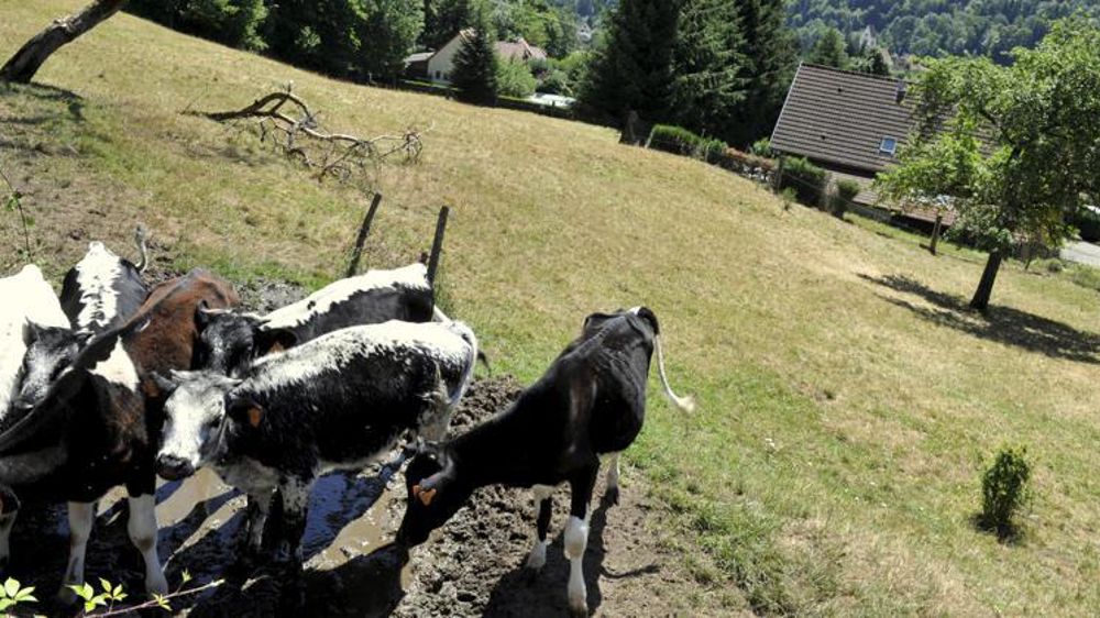 © Cédric Faimali/GFA