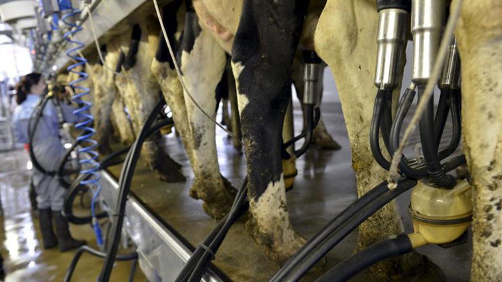 © Cédric Faimali/GFA