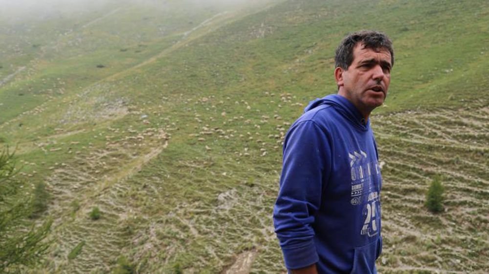 Michel Barengo, à la tête de 700 brebis à La Bolène-Vésubie, dans les Alpes-Maritimes. © M.-F. Malterre/GFA