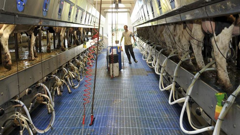 © Cédric Faimali/GFA