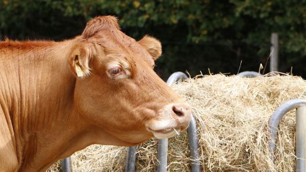 © Hélène Chaligne/GFA