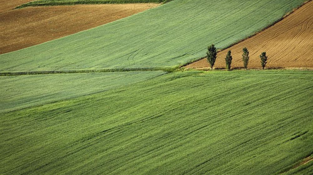 Ce n’est que partie remise pour le gouvernement, qui prévoit une grande loi foncière pour cette année. © Pixabay