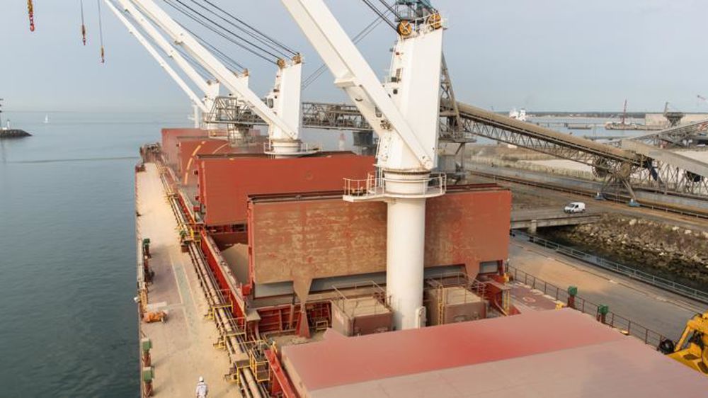 L’Algérie pourrait ouvrir son marché de blé tendre à la Russie si les tests sanitaires en cours sont concluants. « Cela présente un risque potentiel pour les exports français », estime Marc Zribi, de FranceAgriMer, avant de rappeler que la production française correspond bien au cahier des charges algérien. © Claudius Thiriet