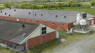 Le ministère de l’Agriculture a publié un arrêté définissant les mesures de biosécurité applicables en matière de protection physique des élevages de suidés, ainsi que les conditions de fonctionnement des exploitations. © Y. Cainjo/GFA Le ministère de l’Agriculture a publié un arrêté définissant les mesures de biosécurité applicables en matière de protection physique des élevages de suidés, ainsi que les conditions de fonctionnement des exploitations. © Y. Cainjo/GFA