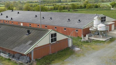 Le ministère de l’Agriculture a publié un arrêté définissant les mesures de biosécurité applicables en matière de protection physique des élevages de suidés, ainsi que les conditions de fonctionnement des exploitations. © Y. Cainjo/GFA Le ministère de l’Agriculture a publié un arrêté définissant les mesures de biosécurité applicables en matière de protection physique des élevages de suidés, ainsi que les conditions de fonctionnement des exploitations. © Y. Cainjo/GFA