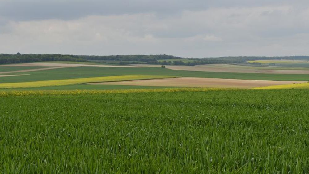 © Cédric Faimali/GFA