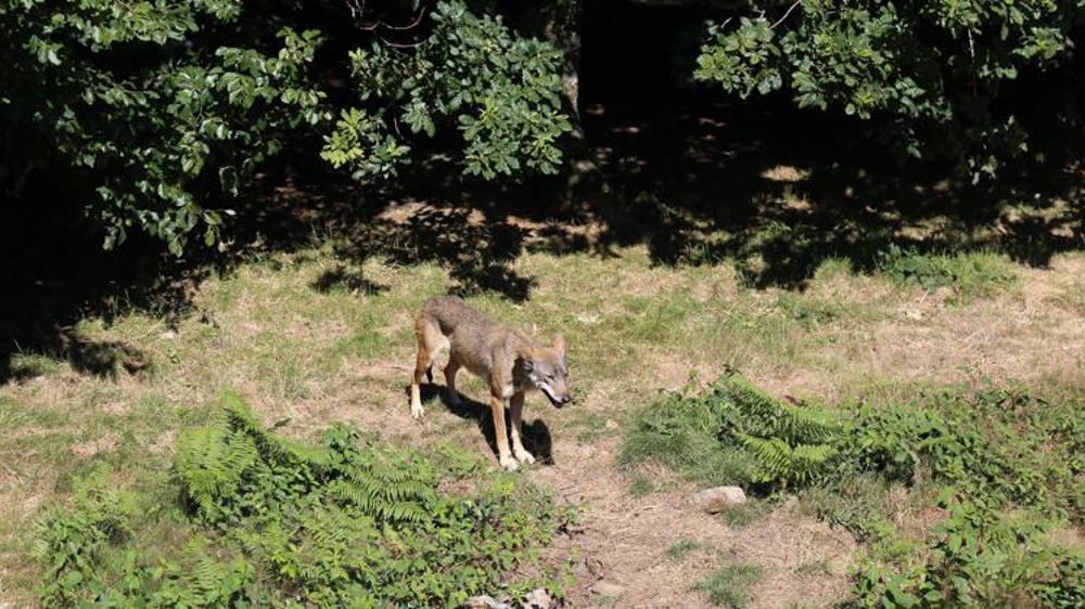 © M.-F. Malterre/GFA