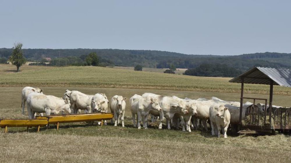 La FNSEA et JA attendent des mesures concrètes du ministre de l’Agriculture pour aider les agriculteurs confrontés à la sécheresse. © C. Faimali/GFA