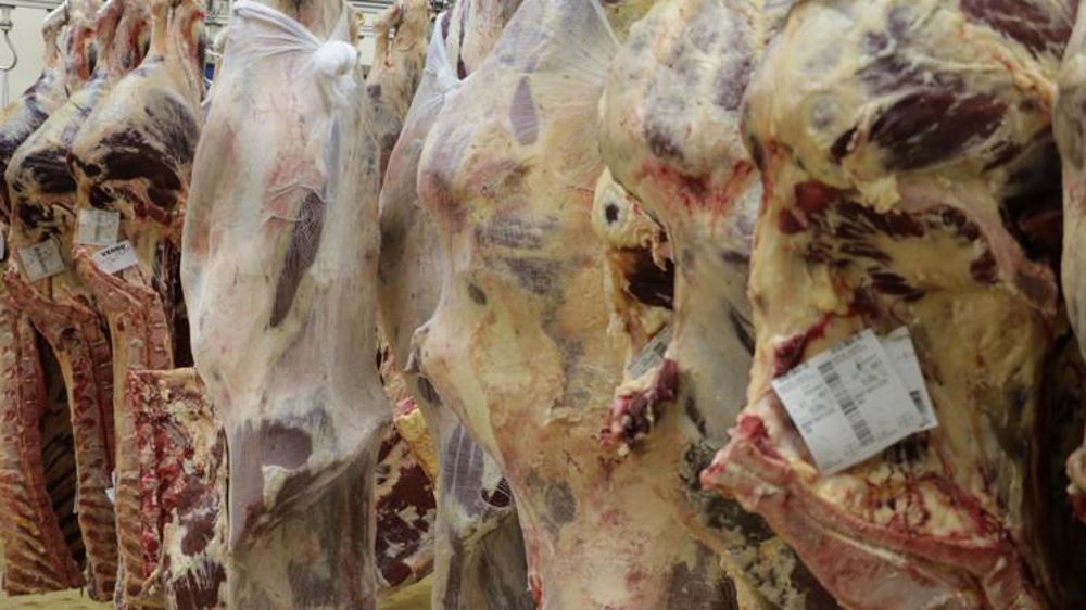 L’Insee diffuse ce 29 octobre 2018 une étude où il estime que les taux de marge des industries de la viande et inférieurs à celui des autres secteurs agroalimentaires. © H. Chaligne/GFA