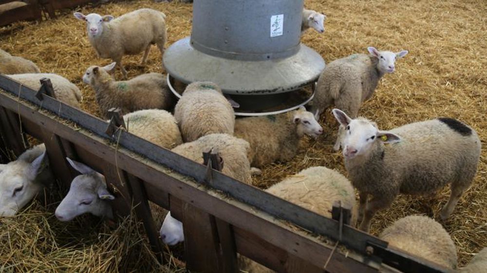 © M..-F.  Malterre/GFA