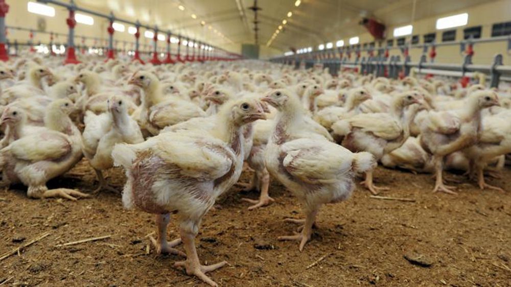 © Cédric Faimali/GFA