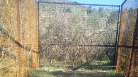 À la demande des intercommunalités et l’aval du préfet, plusieurs cages de ce type devraient être installées dans le département. © DR