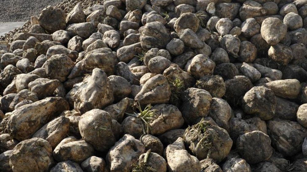 © Cédric Faimali/GFA