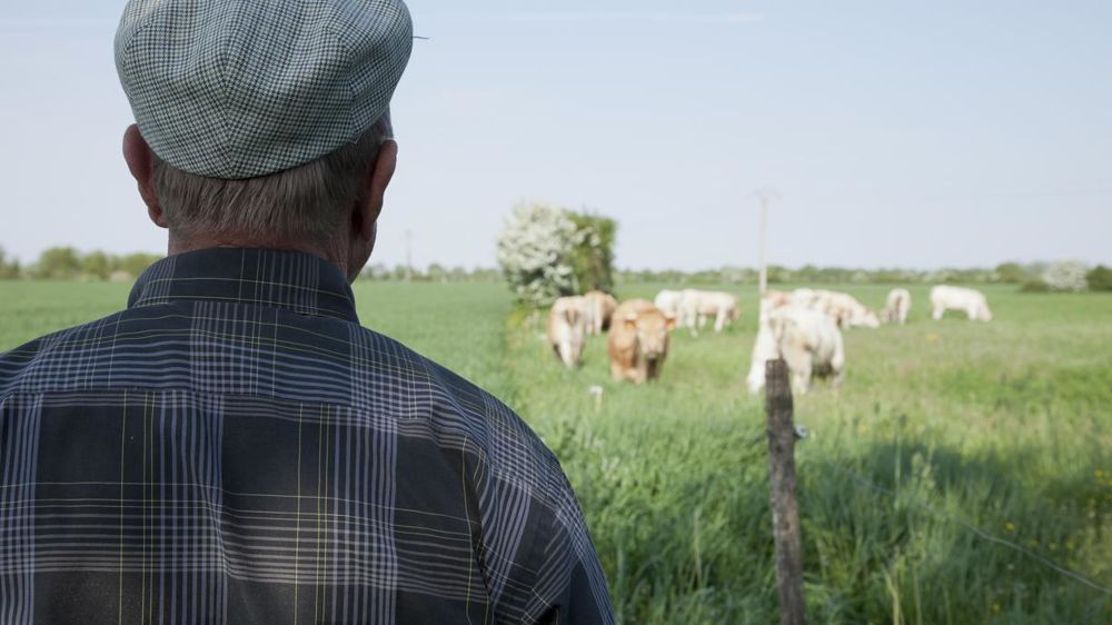53,6 heures par semaine, et une retraite après 65 ans : les agriculteurs, d’après l’Insee, seraient l’une des catégories socioprofessionnelles les plus travailleuses en France. © S. Champion