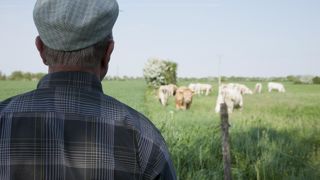 53,6 heures par semaine, et une retraite après 65 ans : les agriculteurs, d’après l’Insee, seraient l’une des catégories socioprofessionnelles les plus travailleuses en France. © S. Champion 53,6 heures par semaine, et une retraite après 65 ans : les agriculteurs, d’après l’Insee, seraient l’une des catégories socioprofessionnelles les plus travailleuses en France. © S. Champion
