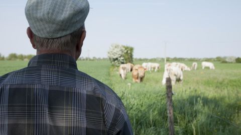 53,6 heures par semaine, et une retraite après 65 ans : les agriculteurs, d’après l’Insee, seraient l’une des catégories socioprofessionnelles les plus travailleuses en France. © S. Champion 53,6 heures par semaine, et une retraite après 65 ans : les agriculteurs, d’après l’Insee, seraient l’une des catégories socioprofessionnelles les plus travailleuses en France. © S. Champion