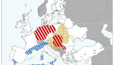 Événements extrêmes climatiques. Capture du bulletin Mars de la Commission européenne (1er octobre 2018-1er décembre 2018). Rayures rouges : déficit de pluie. Rayures bleues : surplus de pluie. Points jaunes : surplus de cumul de température.