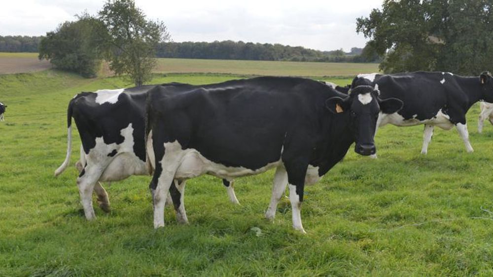 © Cédric Faimali/GFA