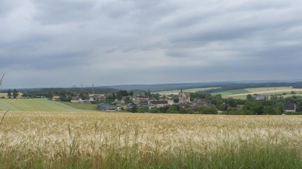 Le rapport de la mission parlementaire sur le foncier agricole appelle à « une remise à plat » des outils de régulation. © C. Faimali/GFA