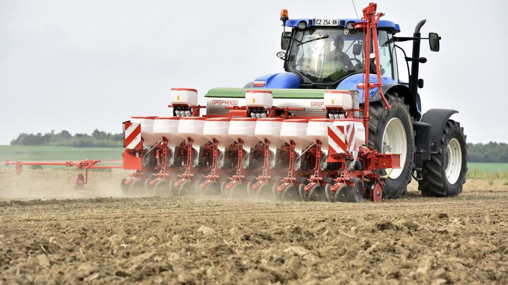 Les semis de colza, souffrant de la sécheresse, ont chuté de 23,6 %, au plus bas depuis 2005. © P. Peeters/GFA