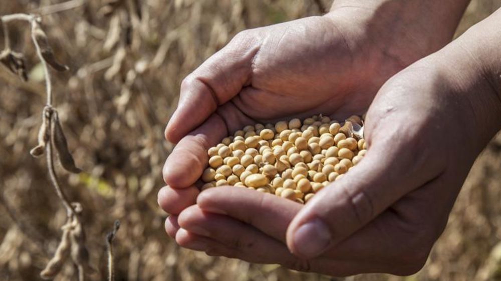 © Sébastien Champion