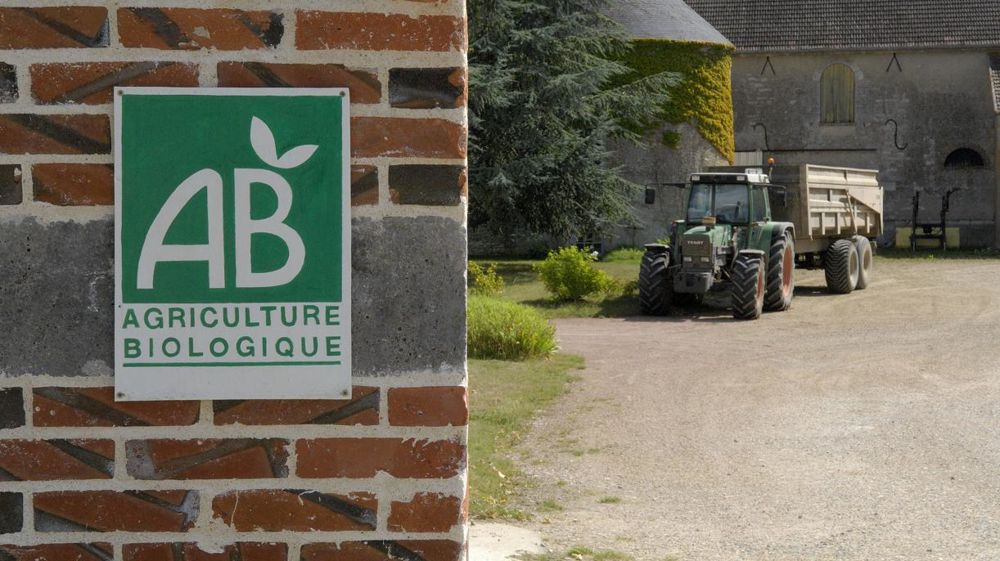 La durée de conversion à l’agriculture biologique est de trois ans, et l’engagement sur cinq ans. © Stéphane Leitenberger