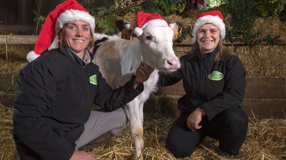 Solenn et Enora Milin organisent depuis douze ans Noël à la ferme de Keroudy. © Hervé Ronne