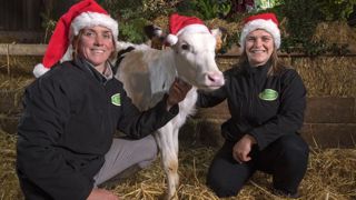 Solenn et Enora Milin organisent depuis douze ans Noël à la ferme de Keroudy. © Hervé Ronne Solenn et Enora Milin organisent depuis douze ans Noël à la ferme de Keroudy. © Hervé Ronne