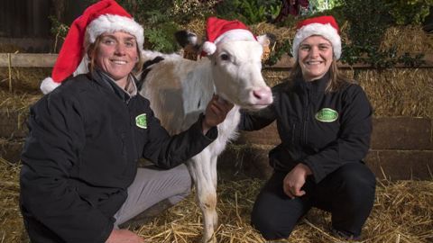 Solenn et Enora Milin organisent depuis douze ans Noël à la ferme de Keroudy. © Hervé Ronne Solenn et Enora Milin organisent depuis douze ans Noël à la ferme de Keroudy. © Hervé Ronne