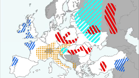 Événements extrêmes climatiques. Capture du bulletin Mars de la Commission européenne (1er novembre 2018-21 décembre 2018). Rayures rouges : déficit de pluie. Rayures bleues : surplus de pluie. Rayures turquoise : vague de froid. Points jaunes : surplus de cumul de température.