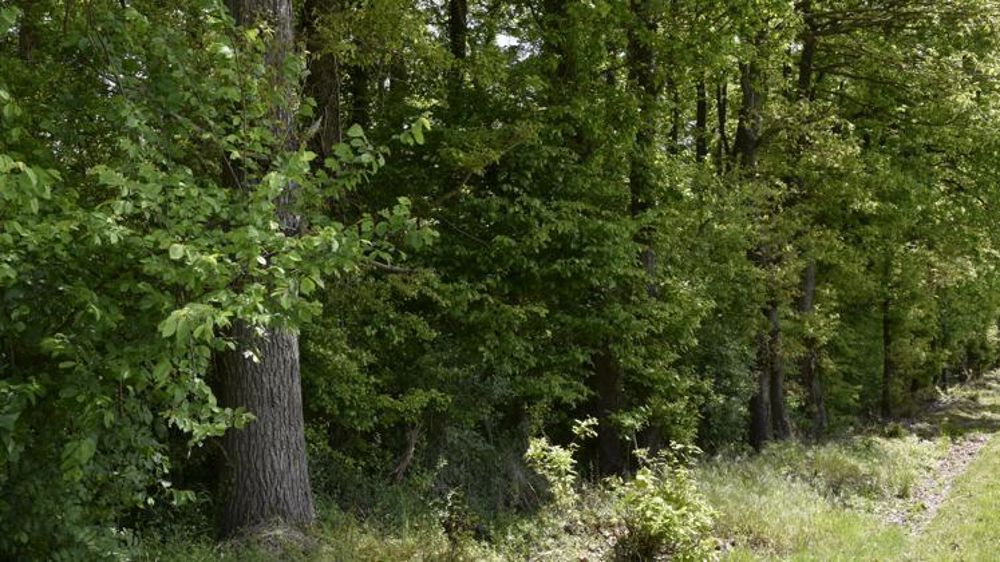 La chambre de commerce et d’industrie de la Drôme et le centre de formation professionnelle de Châteauneuf-du-Rhône s’étaient entendus afin d’harmoniser leurs prix à l’occasion de deux procédures d’appels publics à concurrence. © Cédric Faimali/GFA