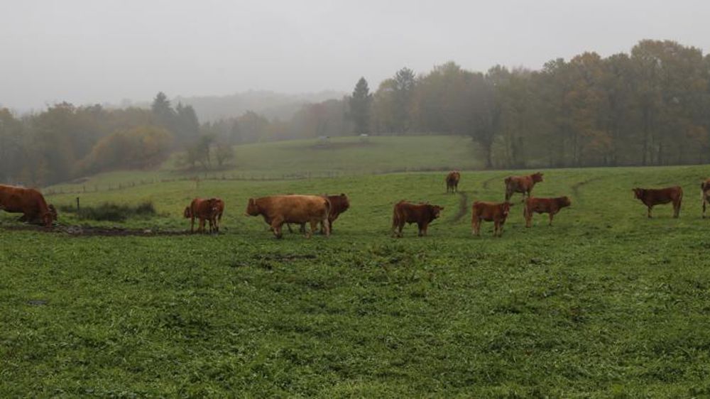 © M.-F. Malterre/GFA