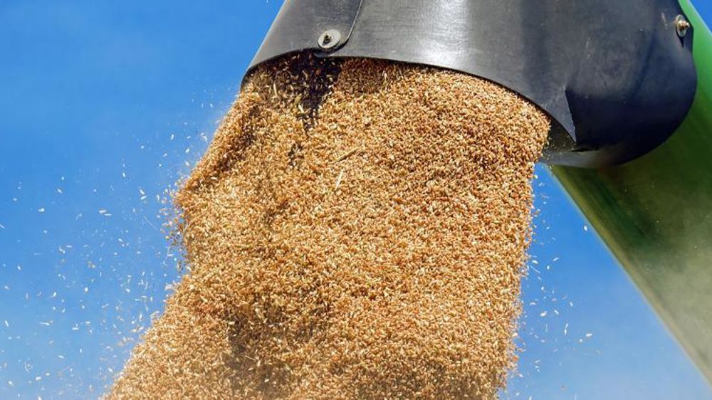 Les courtiers se montrent prudents à la Bourse de Chicago en l’absence de rapport du ministère américain de l’Agriculture. © Pixabay