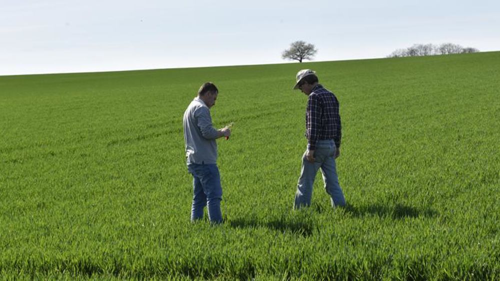 © Cédric Faimali/GFA