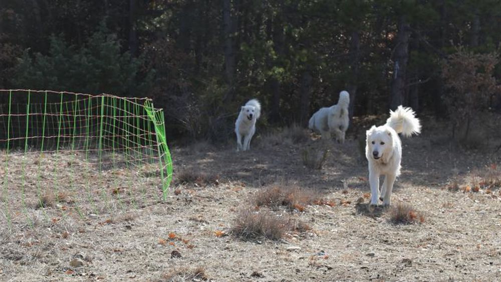 © M.-F. Malterre/GFA