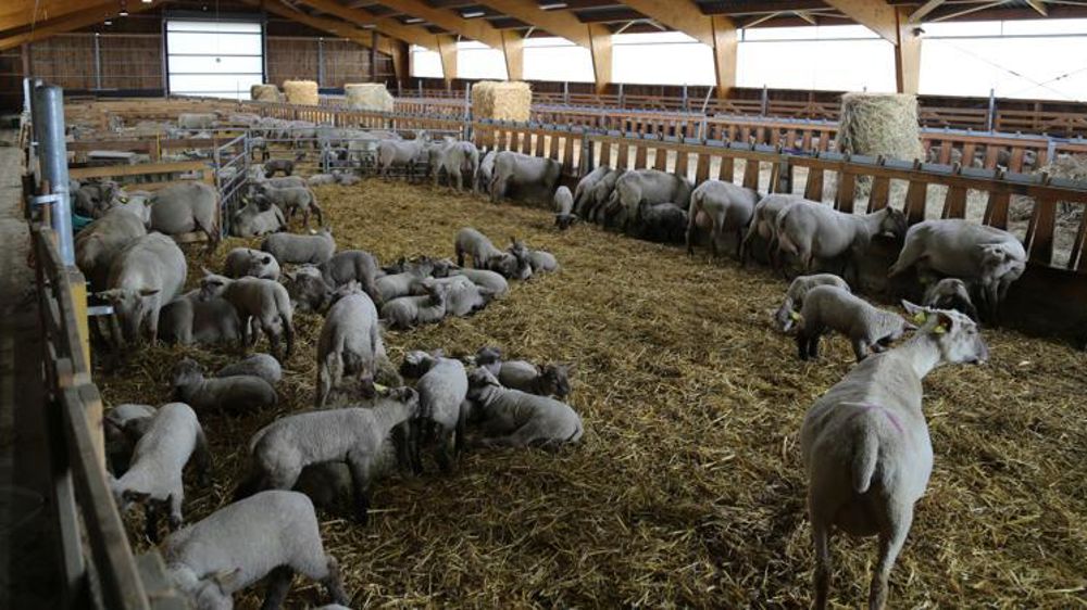 © M.-F. Malterre/GFA