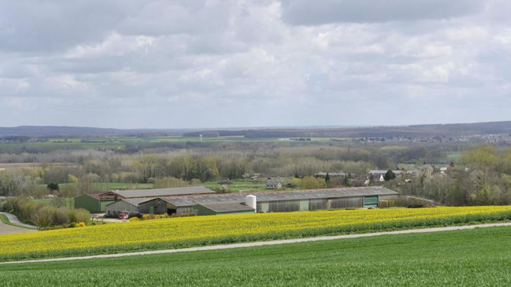 © C. Faimali / GFA