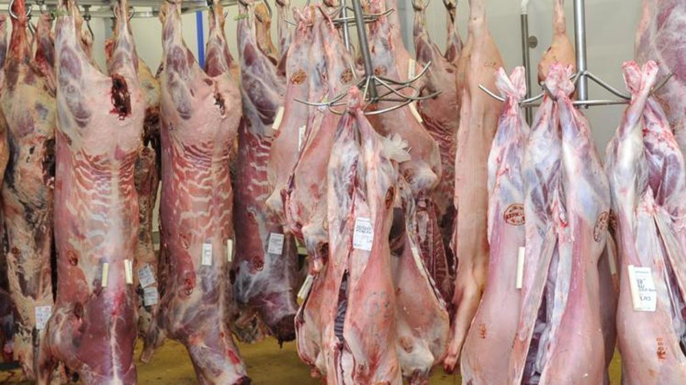 © Cédric Faimali/GFA