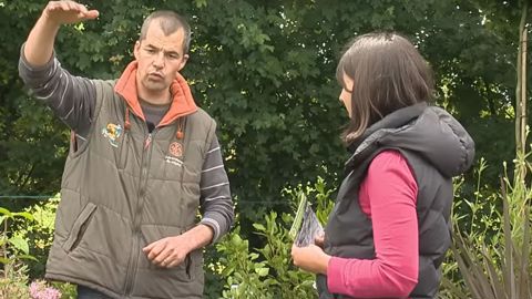 En production comme en vente, dans la transmission des savoir-faire, le tuteurat est une solution qui a fait ses preuves. Il peut permettre aussi de révéler et responsabiliser des collaborateurs plus anciens dans ces fonctions de formation.