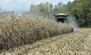 L'Association générale des producteurs de maïs (AGPM) a tenu son assemblée générale lors du congrès du maïs à Pau, les 23 et 24 novembre 2022. L'Association générale des producteurs de maïs (AGPM) a tenu son assemblée générale lors du congrès du maïs à Pau, les 23 et 24 novembre 2022.