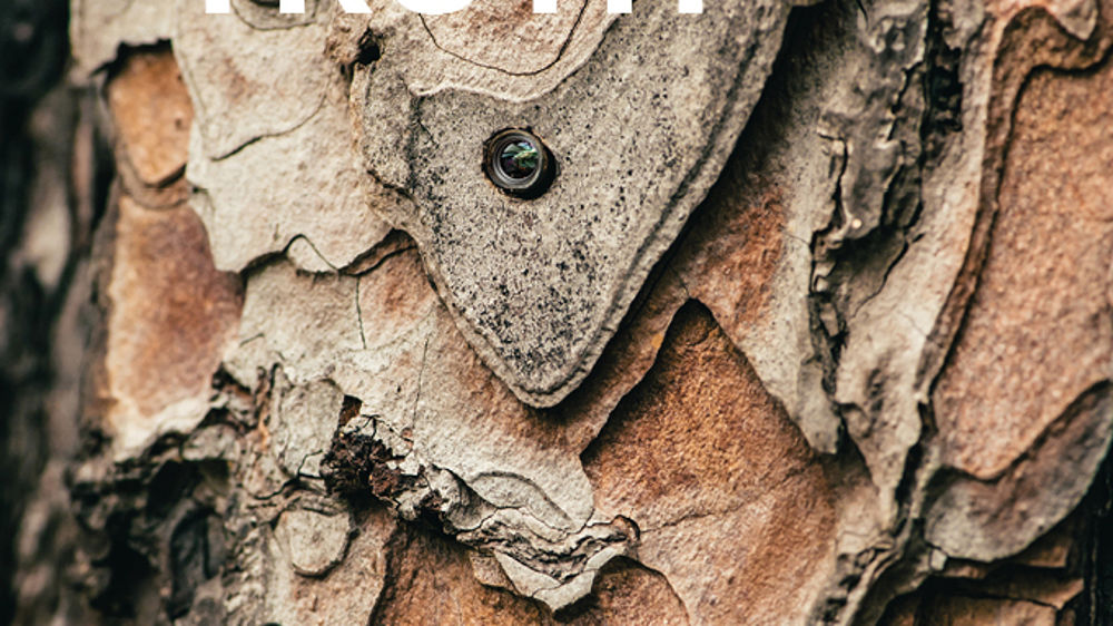 Le titre Truth (transparence, authenticité) et le détail d’écorce sur la couverture renvoient au pouvoir croissant du végétal et de la nature en général auprès des consommateurs. Le titre Truth (transparence, authenticité) et le détail d’écorce sur la couverture renvoient au pouvoir croissant du végétal et de la nature en général auprès des consommateurs.