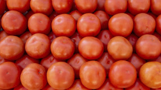La production de tomates reculerait en 2022 en France par rapport à 2021. La production de tomates reculerait en 2022 en France par rapport à 2021.