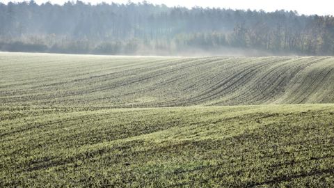 Météo-France annonce une baisse des températures avec l'arrivée de gelées à la fin de la semaine. Météo-France annonce une baisse des températures avec l'arrivée de gelées à la fin de la semaine.