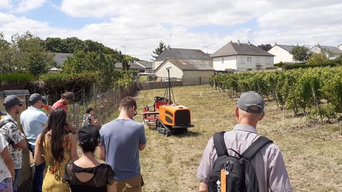 Le 7 juillet, les partenaires du projet Rob4Crops ont pu assister à une démonstration du robot Céol sur une parcelle du lycée viticole de Montreuil-Bellay (Maine-et-Loire). © Terrena