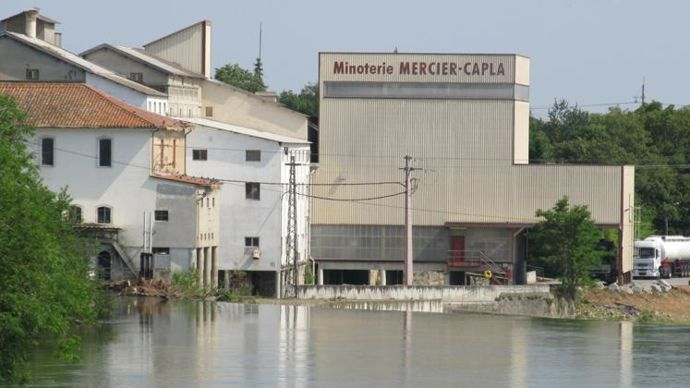 Le blé local sera transformé à Saverdun (Ariège) par Les Moulins Pyrénéens, une filiale d’Arterris. © Arterris